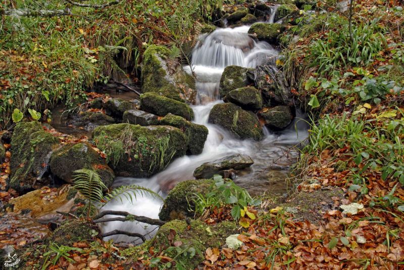 el rio en otoo.jpg